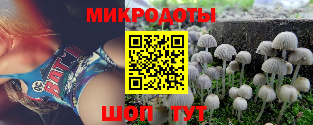 Галлюциногенные грибы MAGIC MUSHROOMS  Галлюциногенные грибы ЛСД  Кингисепп  Вход с VPN 