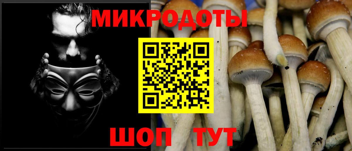 Галлюциногенные грибы MAGIC MUSHROOMS Кингисепп